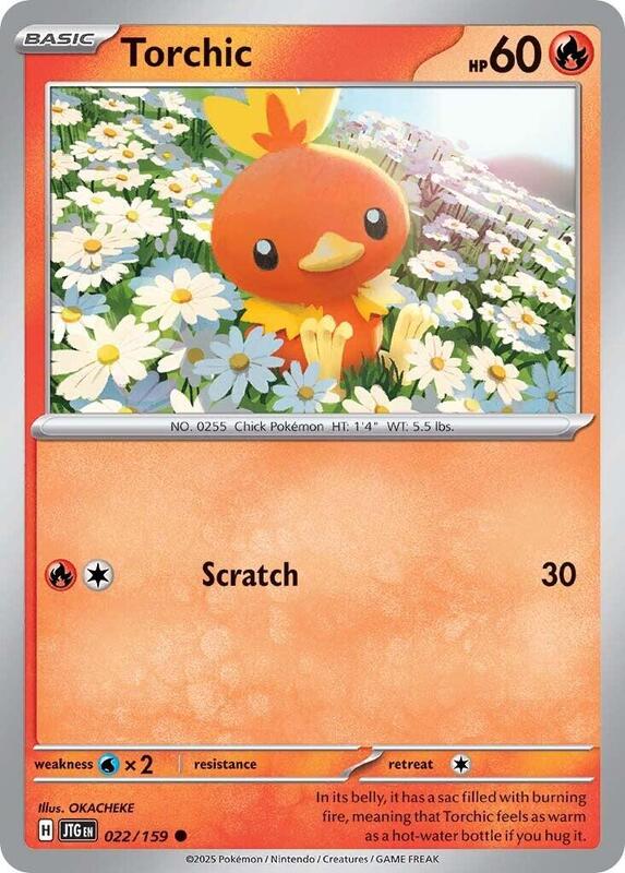 카드